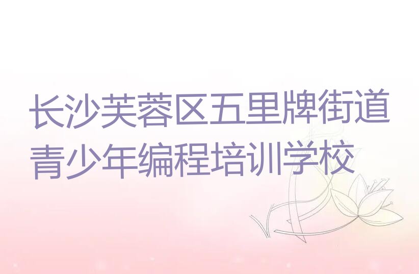 青少年编程