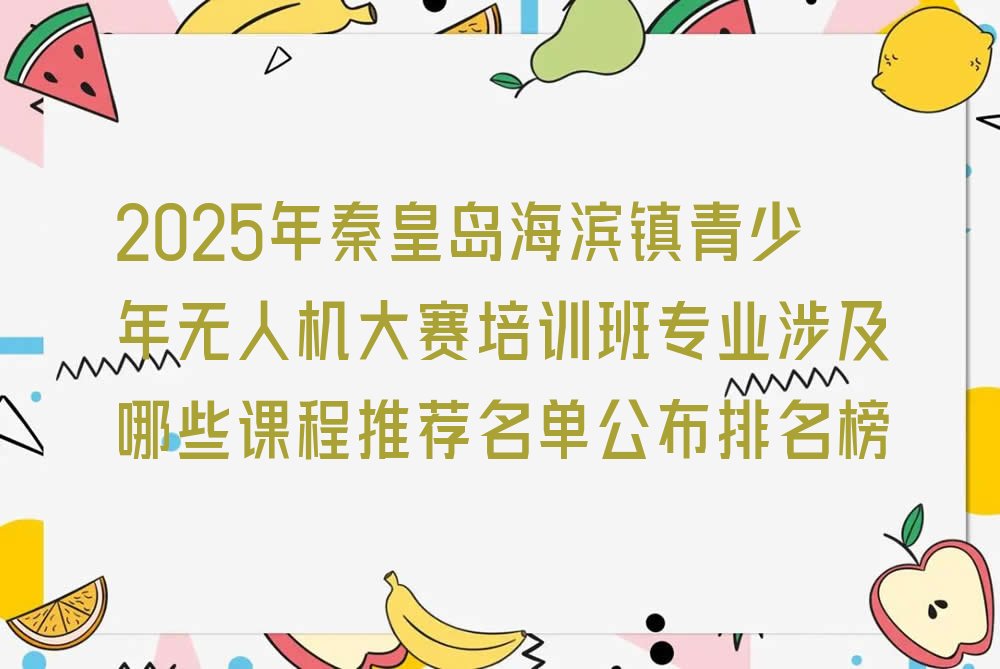 秦皇岛北戴河区海滨镇青少年无人机大赛培训学校
