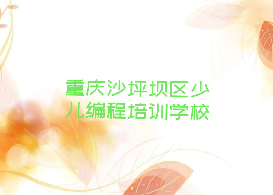 重庆沙坪坝区少儿编程培训学校