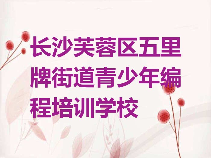 长沙芙蓉区五里牌街道青少年编程培训学校