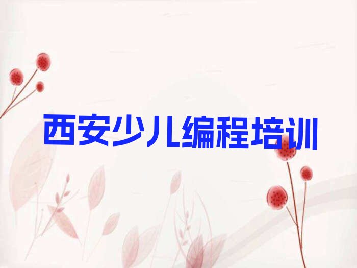 西安灞桥区狄寨街道小儿编程培训学校