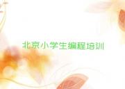 北京童程童美学小学生编程比较好的学校名单今日一览排行榜