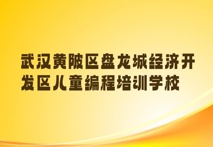 武汉黄陂区盘龙城经济开发区儿童编程培训学校