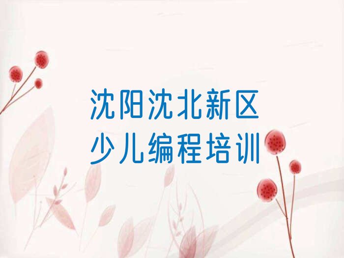 沈阳沈北新区少儿编程培训