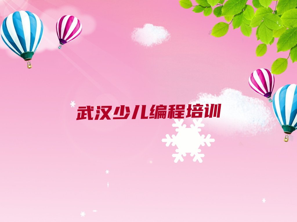 武汉武昌区少儿编程培训中心