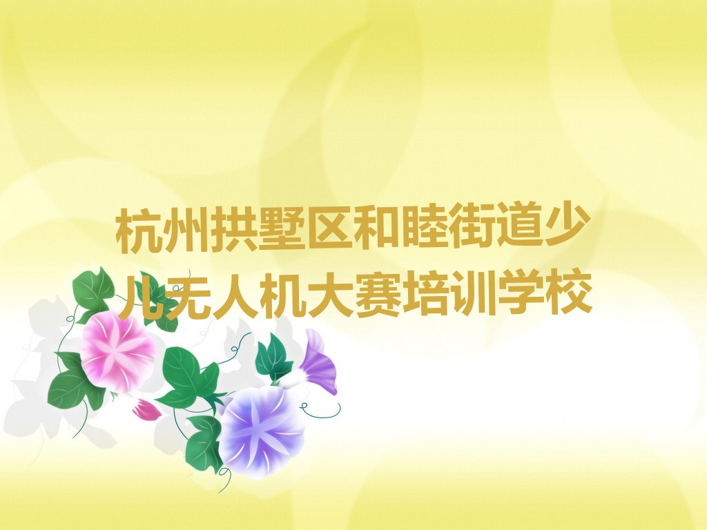杭州拱墅区和睦街道少儿无人机大赛培训学校