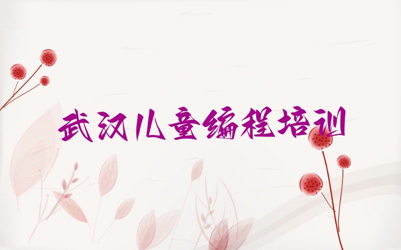 武汉黄陂区盘龙城经济开发区儿童编程培训学校