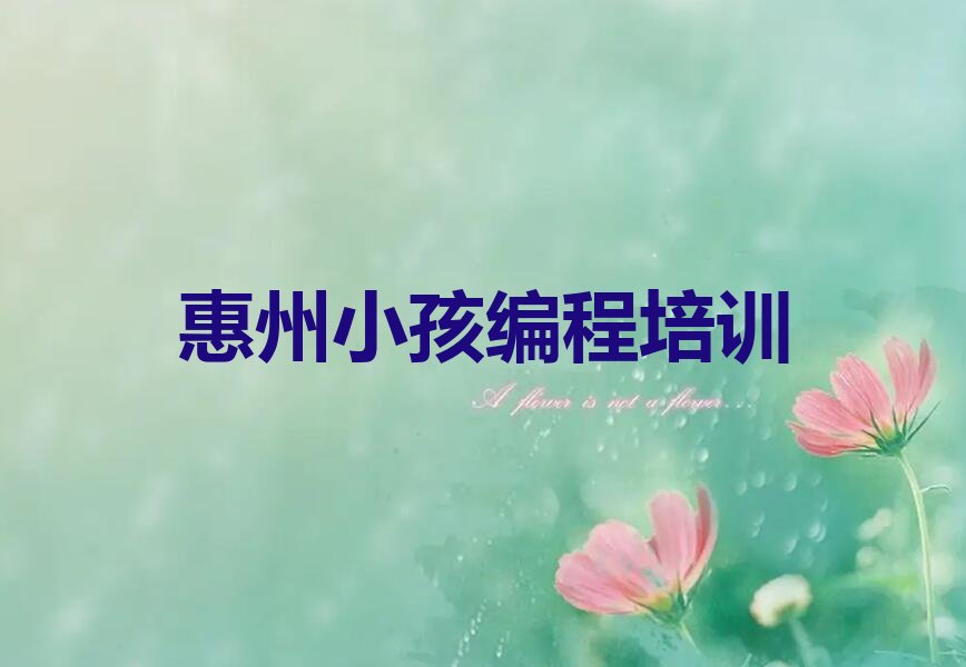 十大惠州惠城区小孩编程培训学校好的排行榜