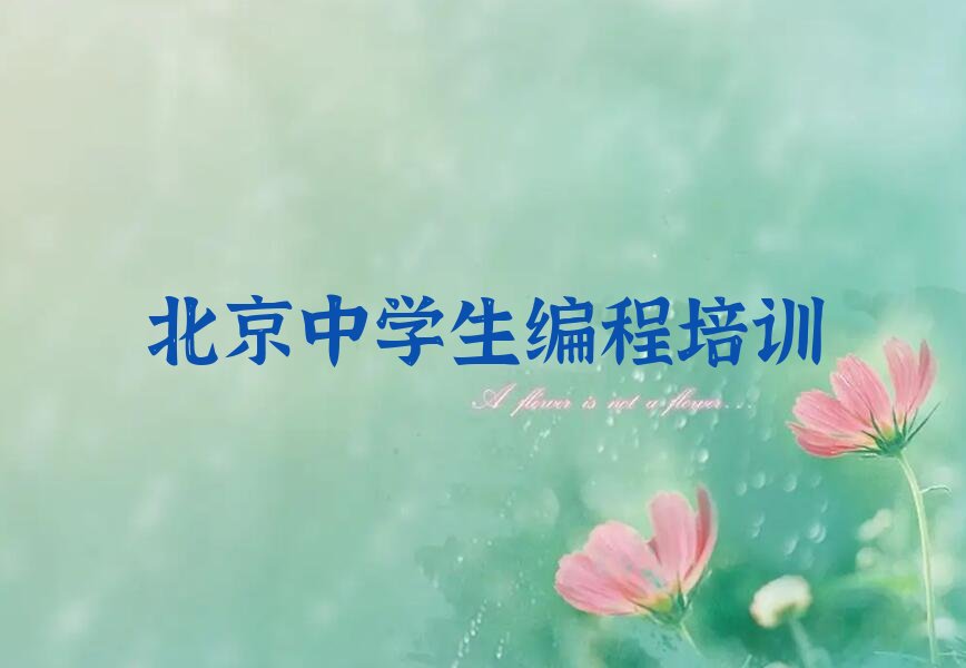 北京中学生编程培训学校