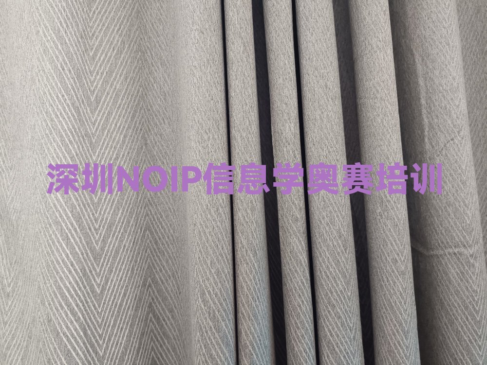 十大深圳盐田区NOIP信息学奥赛老师好的培训班在哪里排行榜