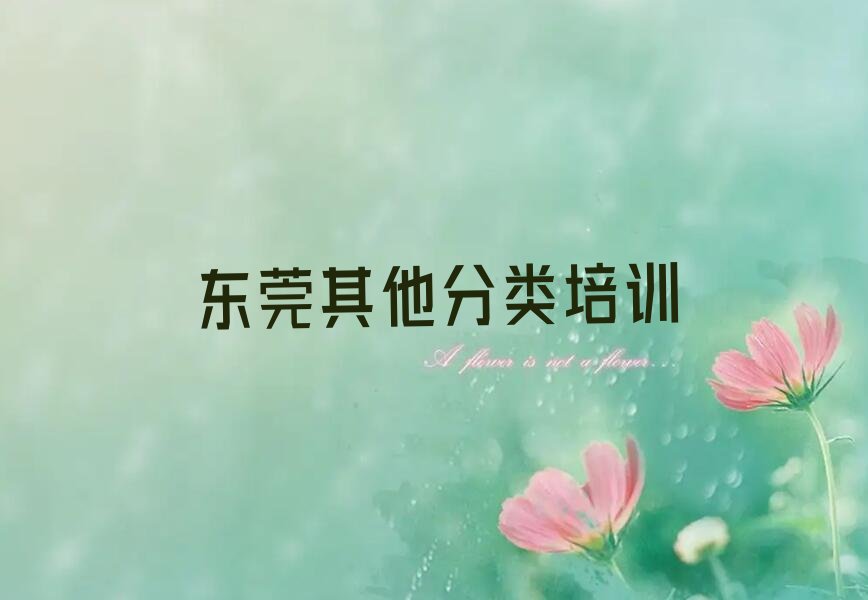 十大东莞少儿无人机大赛学校正规学校排行榜