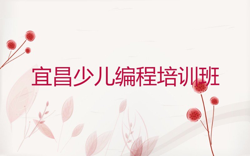 宜昌少儿编程培训班