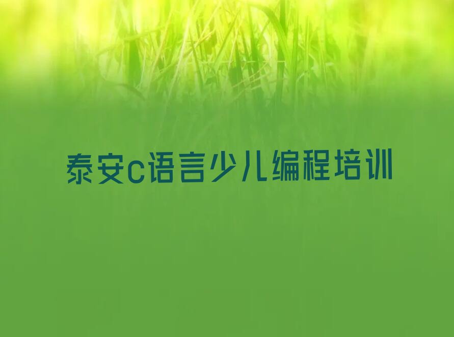 十大泰安岱庙街道c语言少儿编程资格培训班十大排名一览排行榜排行榜