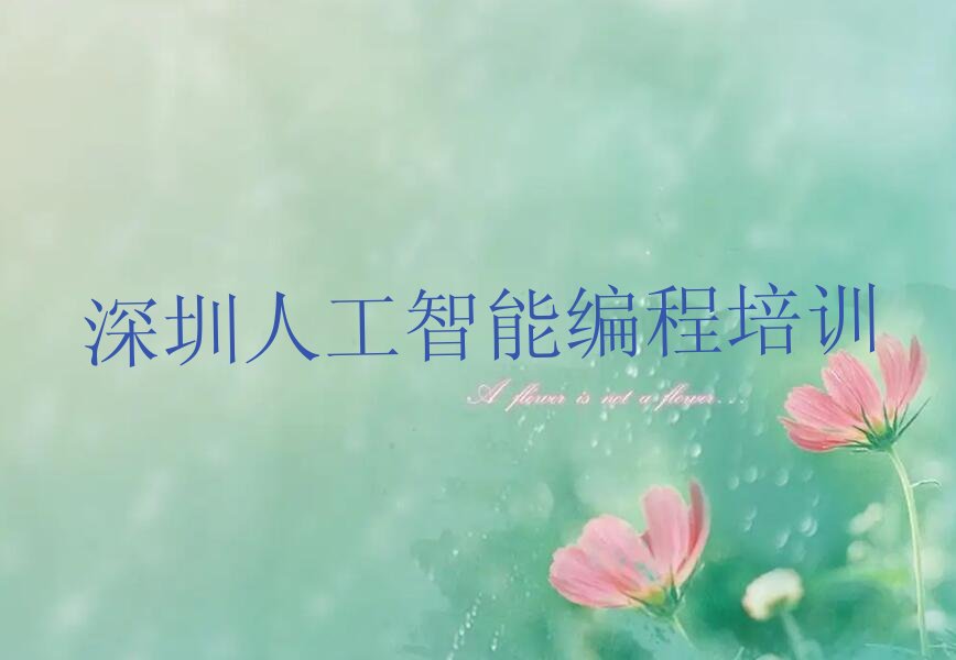 深圳罗湖区少儿编程培训班
