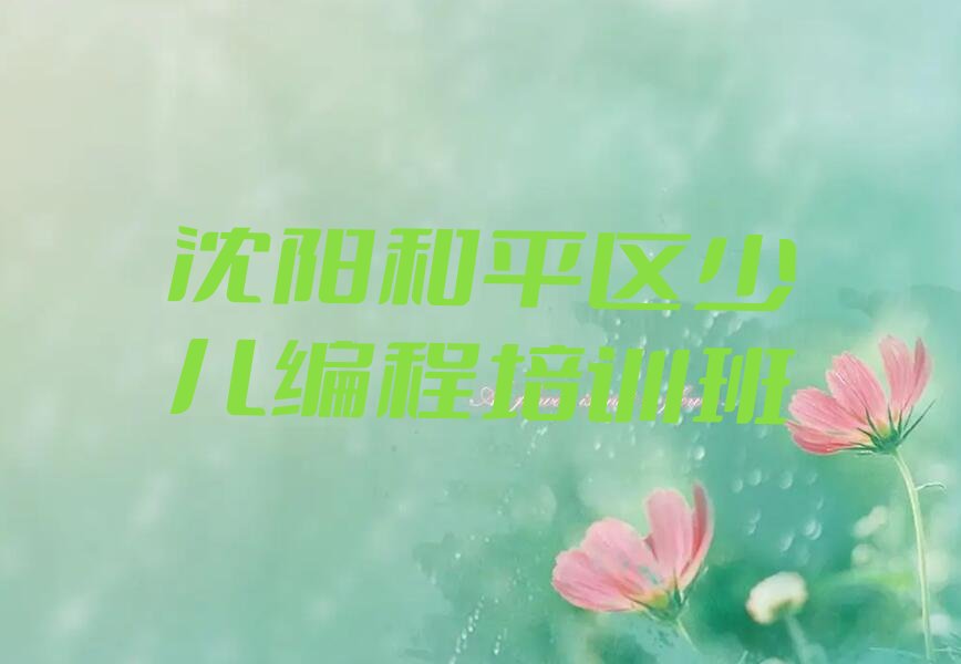 沈阳和平区少儿编程培训班