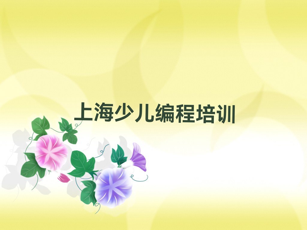 十大上海嘉定区小学生编程教育培训一节课多少钱排行榜