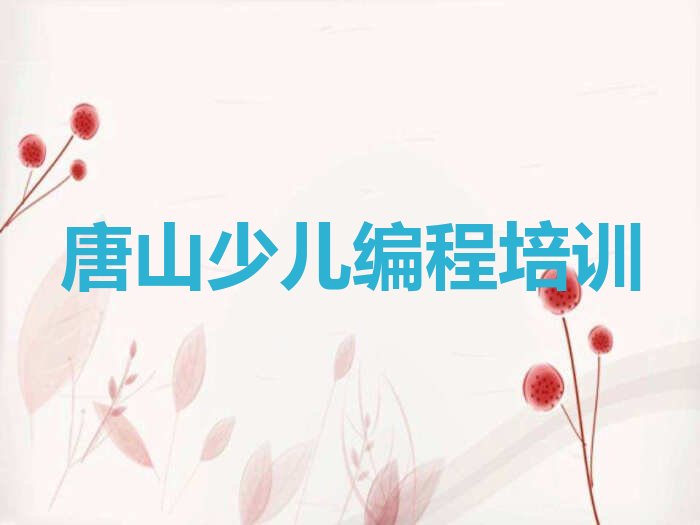 唐山曹妃甸区少儿编程培训