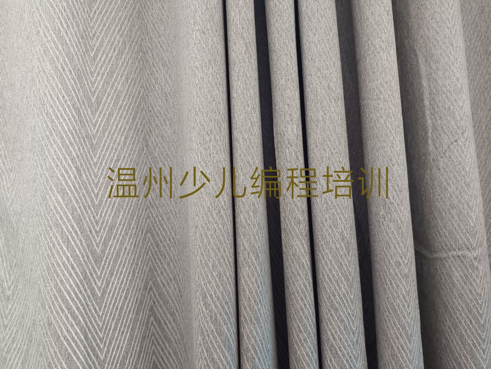 温州鹿城区少儿AI机器人编程培训学校
