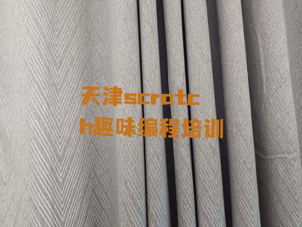 天津静海区蔡公庄镇少儿编程培训学校