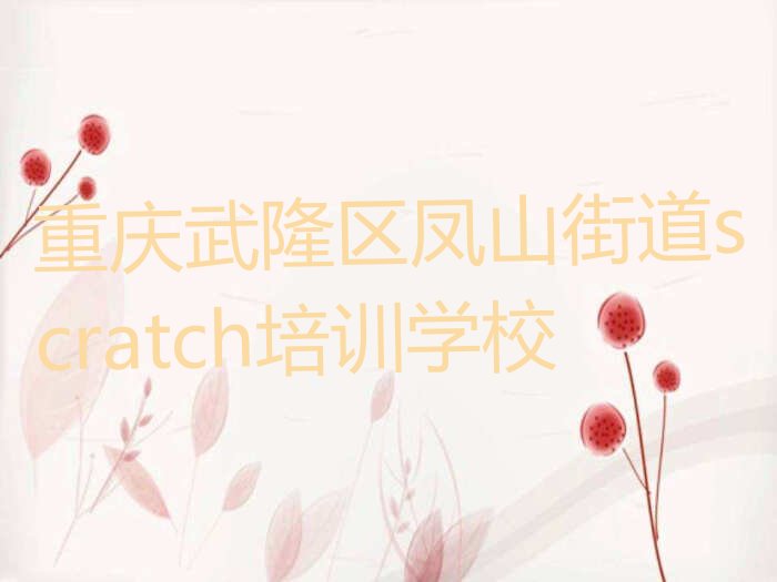 重庆武隆区凤山街道scratch培训学校