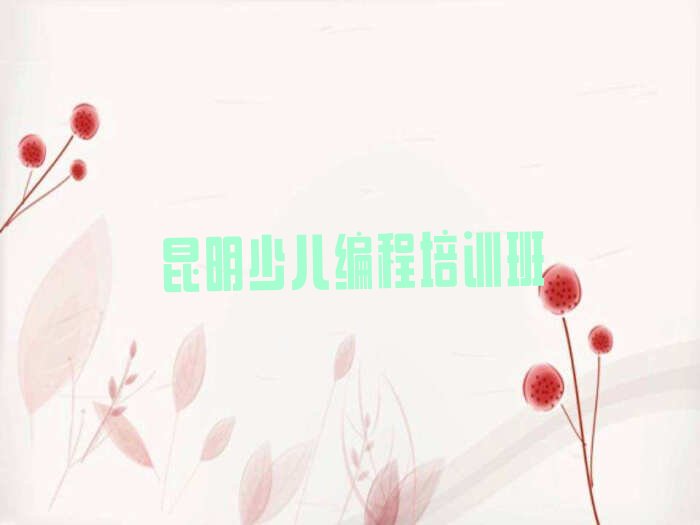 昆明少儿编程培训班