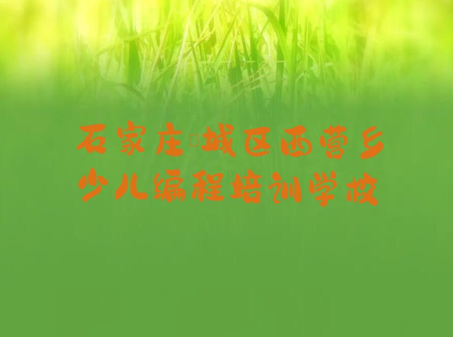 石家庄栾城区西营乡少儿编程培训学校