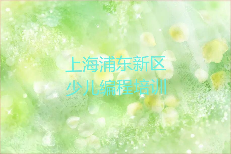 上海浦东新区少儿编程培训