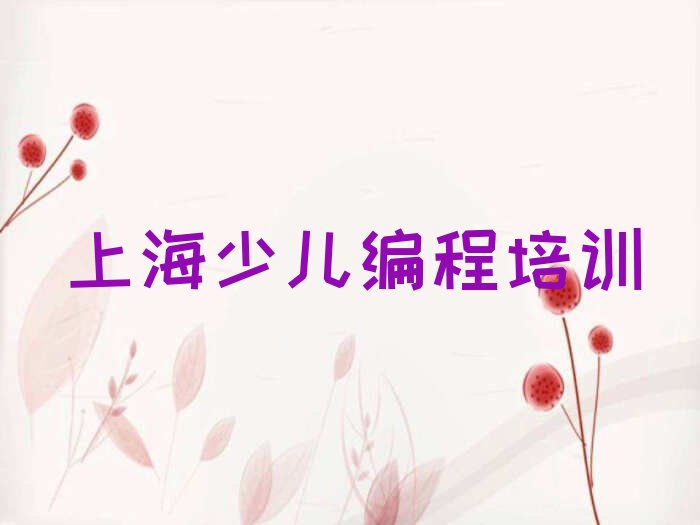 上海少儿编程培训中心