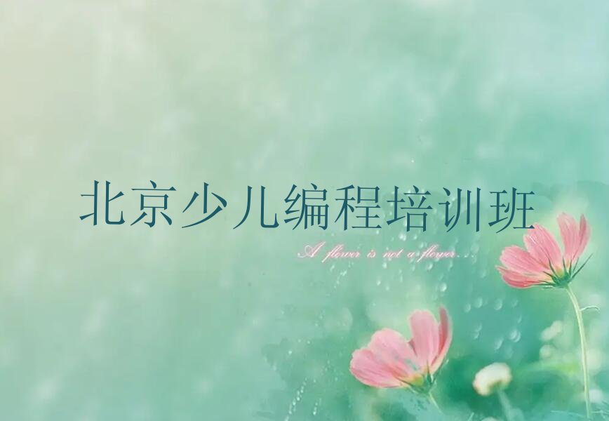 北京少儿编程培训班