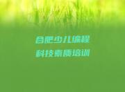 合肥琥珀街道童程童美学少儿编程科技素质哪个学校比较好
