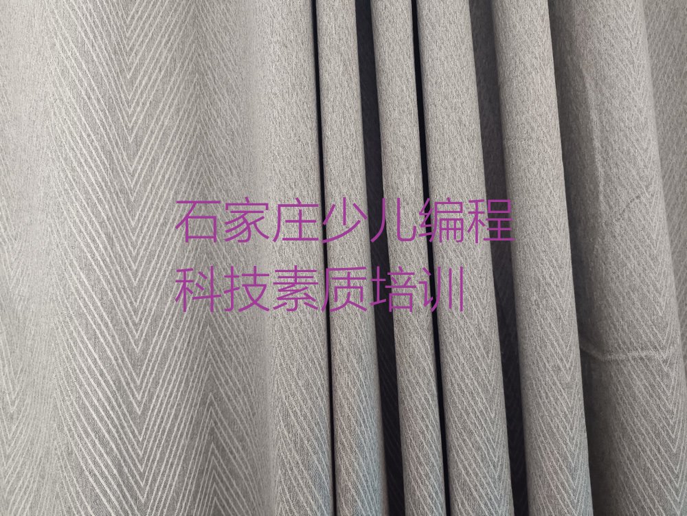 少儿编程科技素质