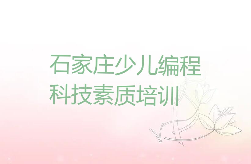 石家庄栾城区西营乡少儿编程培训学校