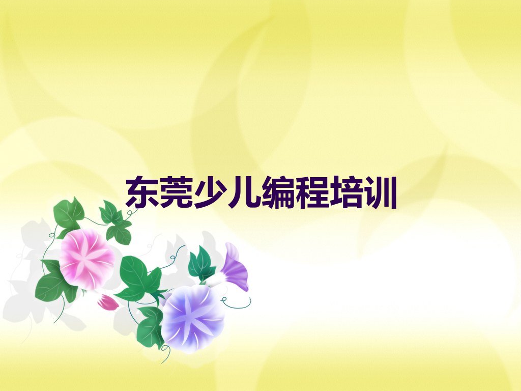 东莞少儿编程培训班