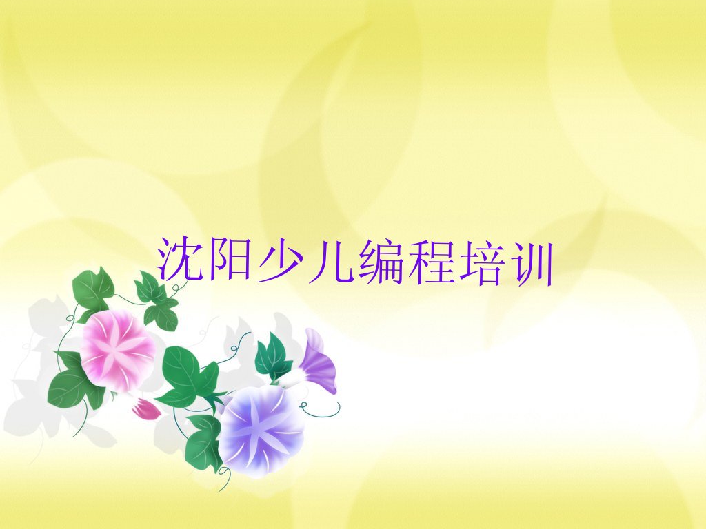 沈阳皇姑区少儿编程培训班