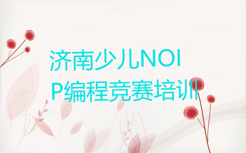 济南天桥区大桥街道少儿NOIP编程竞赛培训学校