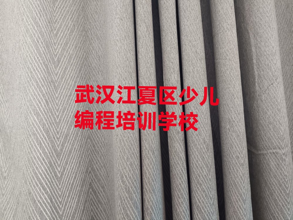 十大2025年武汉附近幼儿编程培训班排名名单一览排行榜排行榜