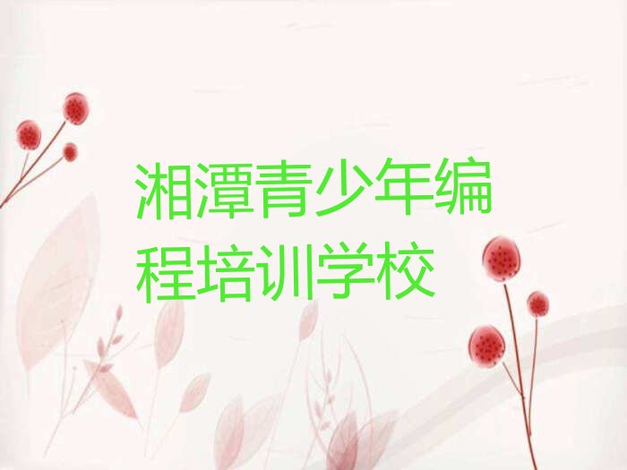 湘潭青少年编程培训学校