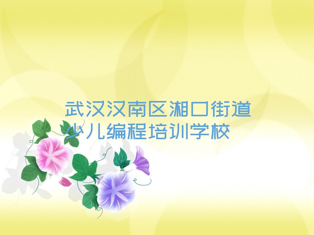 机器人编程