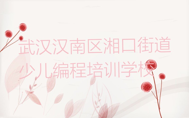 武汉汉南区湘口街道少儿编程培训学校