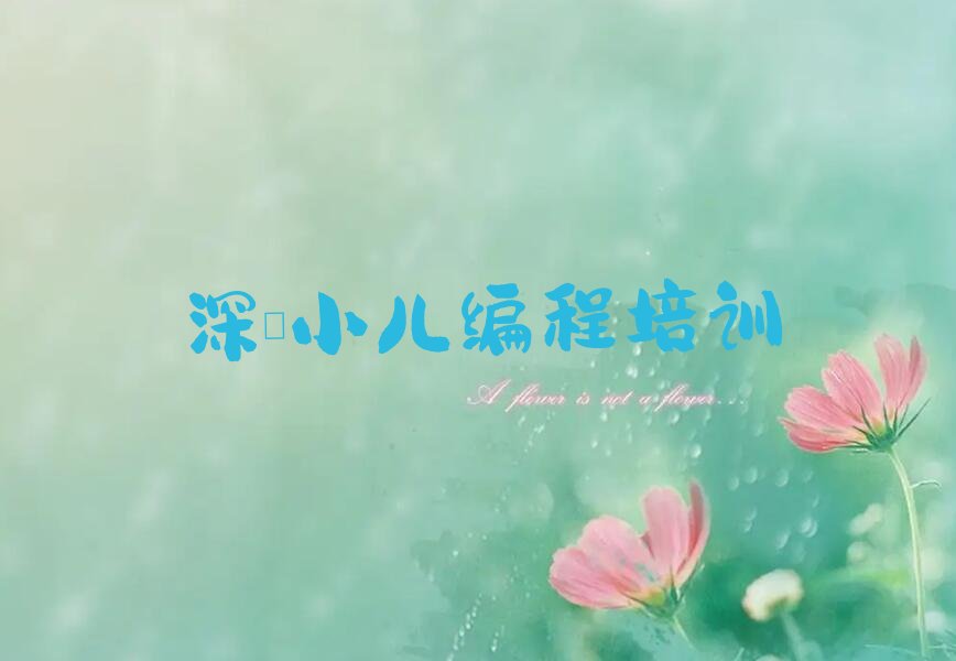 小儿编程