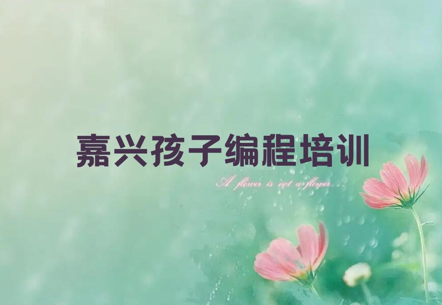 嘉兴秀洲区少儿编程培训