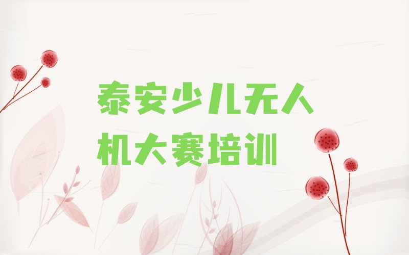 泰安泰山区泰前街道少儿无人机大赛培训学校