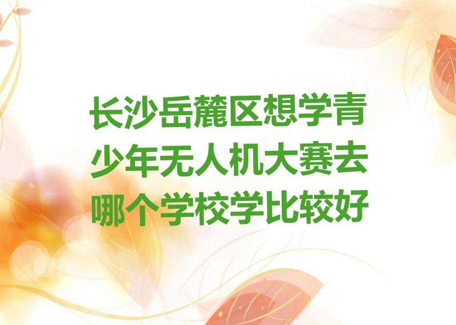 长沙岳麓区少儿编程培训班