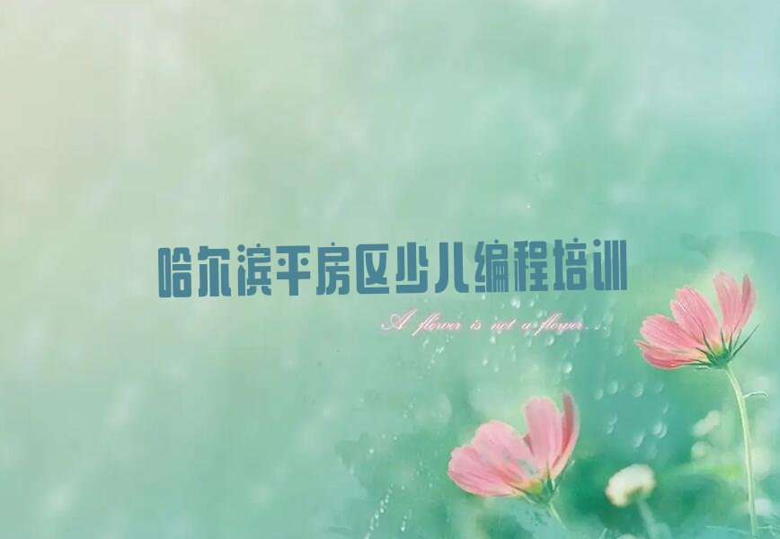 哈尔滨平房区少儿编程培训