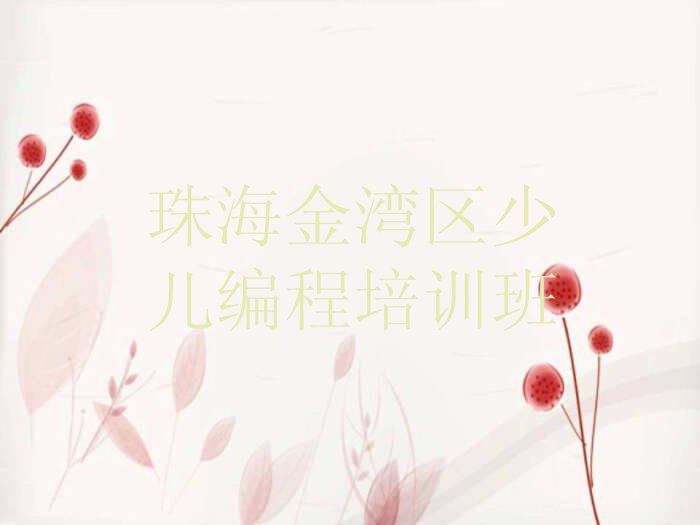 珠海金湾区少儿编程培训班
