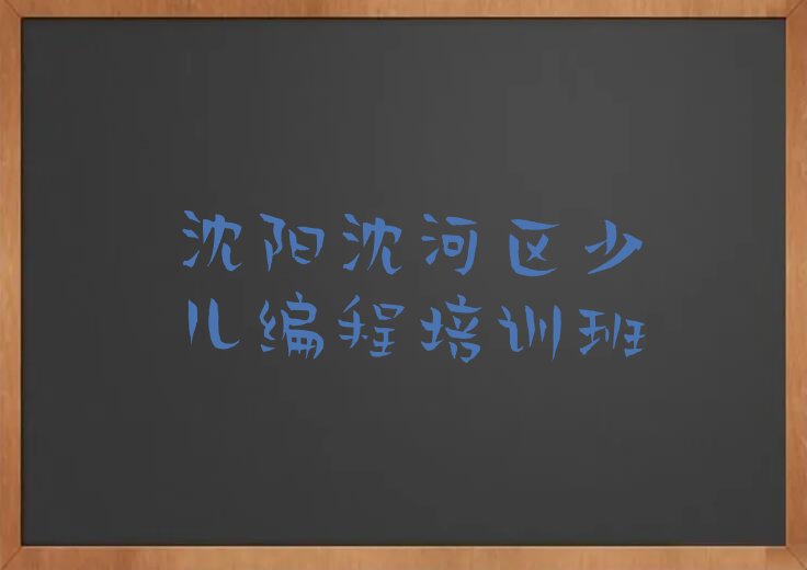 沈阳沈河区少儿编程培训班
