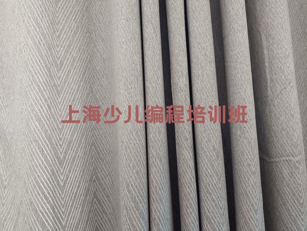 十大2025年上海黄浦区哪家中学生Python编程专业学校好名单总览公布一览表排行榜