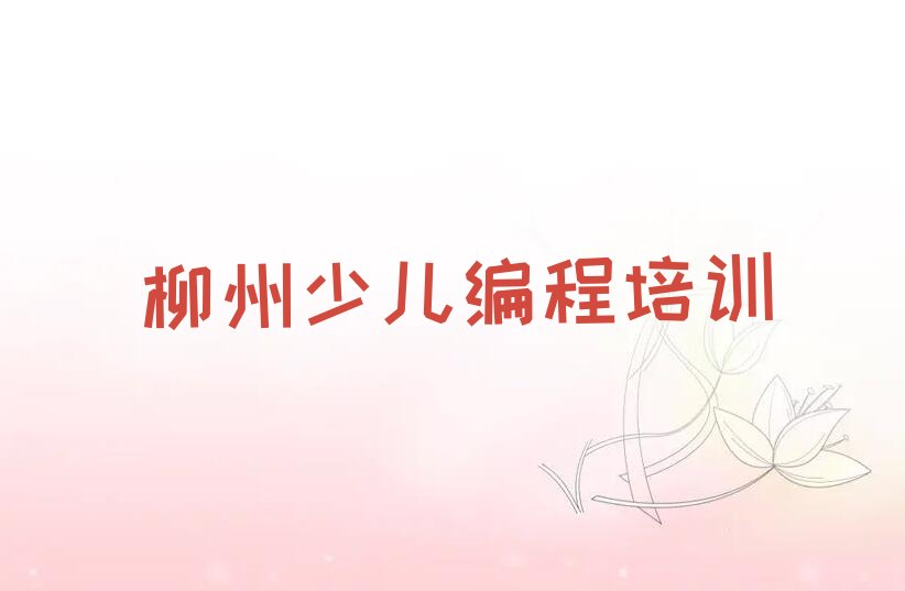 十大柳州城中区哪个乐高机器人编程培训学校好排行榜
