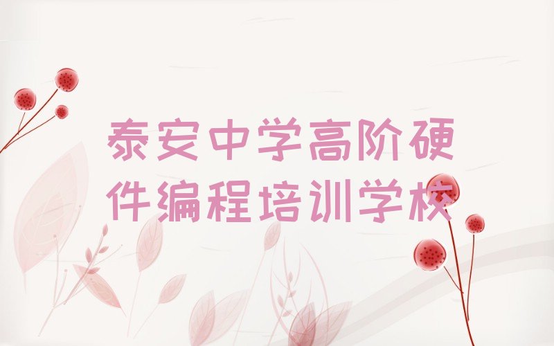中学高阶硬件编程