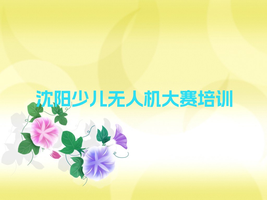 十大2025年沈阳大北街道到哪里学少儿无人机大赛好排名名单一览排行榜排行榜